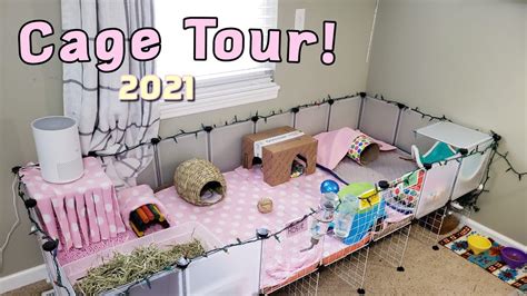 Guinea Pig Cage Tour Youtube