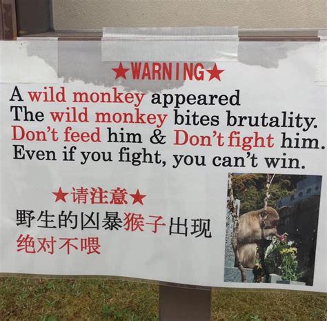 These Totally Lost In Translation English Signs In Japan Have Us