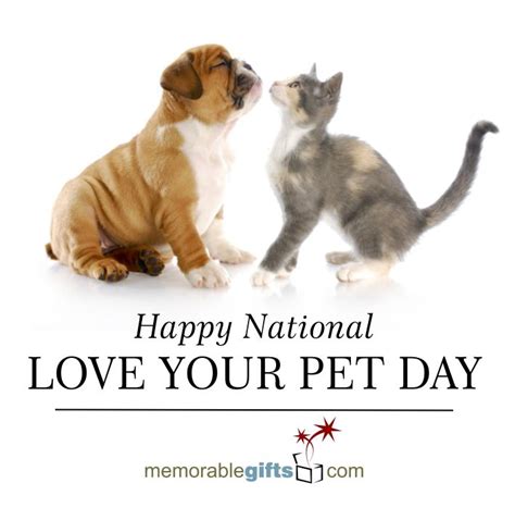 February 20th Is National Love Your Pet Day Love Your Pet Day Cute