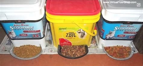 Make Your Own Automatic Pet Feeder Lifehack Pet Food Dispenser Diy
