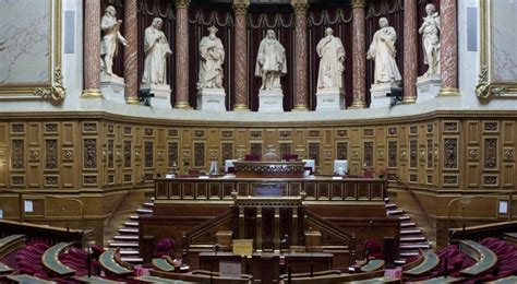 Pma La Loi Bioéthique Arrive Au Sénat Dominé Par La Droite Têtu·