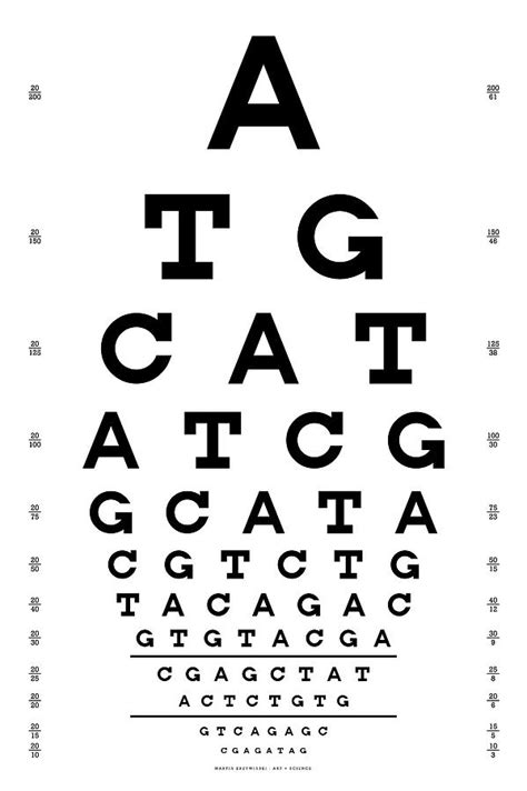 Talking about snellen chart, it is one of the charts commonly used by opticians to test the vision of the person. Snellen Chart - Genetic Sequence Digital Art by Martin ...