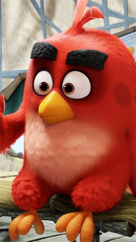 Angry Birds Red Wallpaper Carrotapp