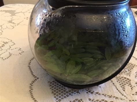 Making Loose Leaf Herbal Tea Thriftyfun
