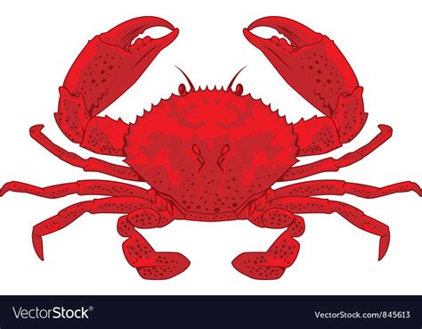 Red Crab Royalty Free Vector Image Vectorstock Aff Royalty