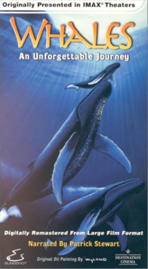 Whales An Unforgettable Journey 1997
