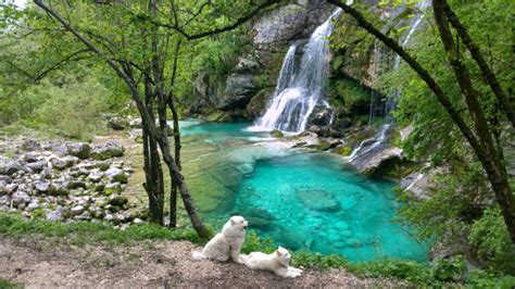 Virje Waterfall And Gljun Creek Hostel Bovec