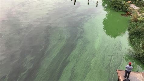 Cyanobacteria In Water And On Land Identified As Source Of Methane Igb
