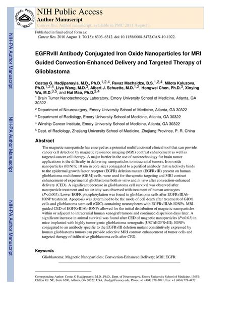 Pdf Egfrviii Antibody Conjugated Iron Oxide Nanoparticles For