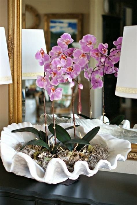 Orchid Pots How To Choose The Best Pots For Orchids