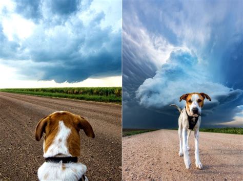 Photographer Mike Mezeul Chases Tornadoes With His Rescue Dog Joplin