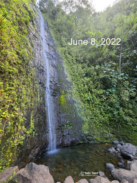 Nates Adventures Mānoa Falls Makiki Falls And Wāwāmalu — Sierra Club