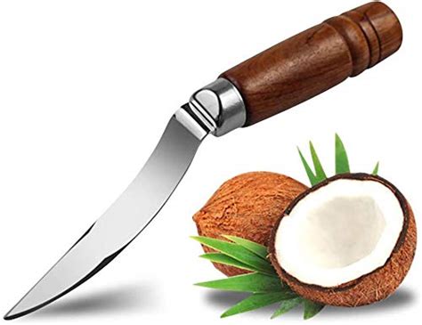 Top 10 Best Curved Knife For Coconut Based On User Rating That Crazy