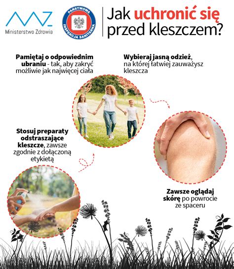 KLESZCZE Gdzie najczęściej można je spotkać Jak odpowiednio się przed