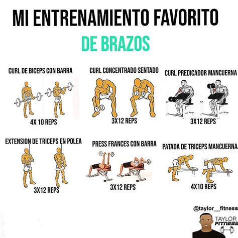 Lista Foto Nombres De Todos Los Ejercicios Del Gym Actualizar