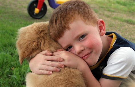 This Boy Needs Your Help To Get A Service Dog Service Animal Registry