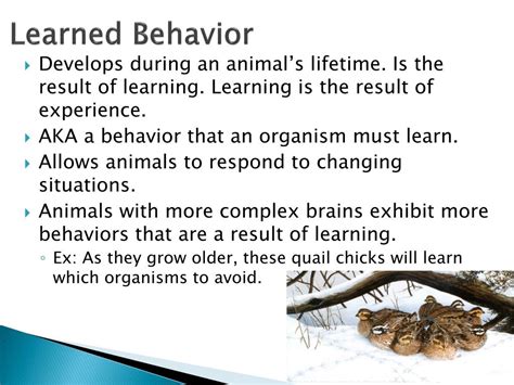 These behaviors are developed in and outside of school. PPT - You need your Animal Behavior Web Quest! PowerPoint ...