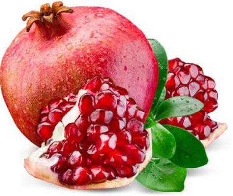 Paudha Pomegranate Anaar Fruit Plant Seed Price In India Buy Paudha