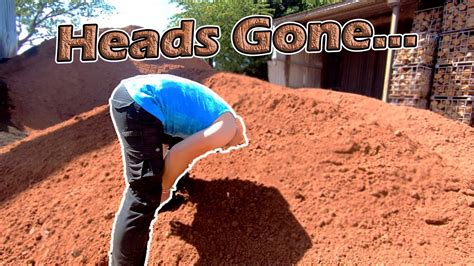 Burying My Head In The Sand Youtube