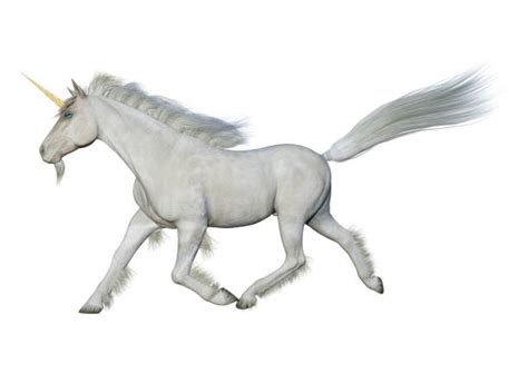 Best Unicorn Running Stock Photos Pictures And Royalty Free Images Istock