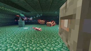 Home minecraft texture packs axolotl buckets minecraft texture pack. Minecraft axolotl mob: Everything we know | PC Gamer
