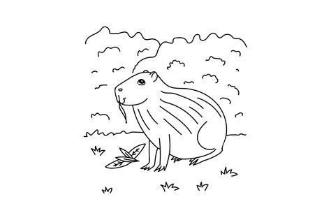 capybara coloring page svg cut file by creative fabri