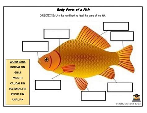 My relatives licked the ends of their chopsticks and reached across the table, dipping them into the dozen or so plates of food. Body Parts of Fish worksheet