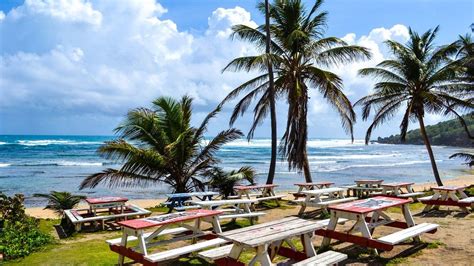 Martins Bay Barbados Beaches Barbados Places To Visit