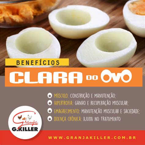 Calorias 1 Clara De Ovo