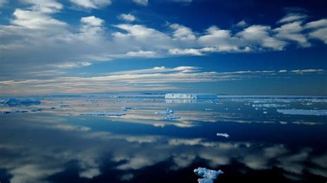 🥇 Icebergs Antarctica Skyscapes Reflections Bing Sea
