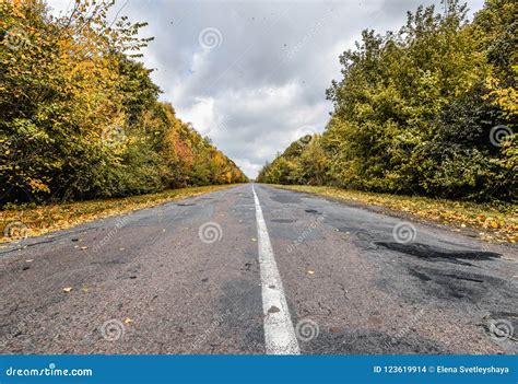 Empty Asphalt Road Through The Autumn Woods Autumn Scene With Road In