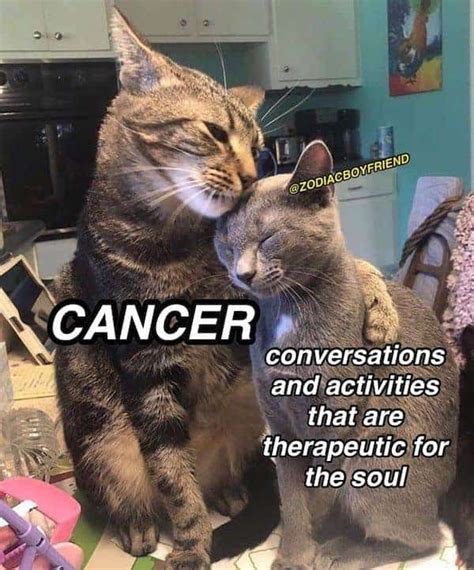 Funny Cancer Memes That Reveal The Untold Truth Of Cancerians Cancer Zodiac Facts Zodiac