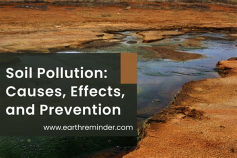 What Are The Harmful Effects Of Soil Pollution Worldatlas Vlrengbr