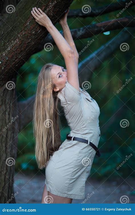 Girl Hanging On The Tree Branch Stock Image Image Of Haired Fruit 66550721