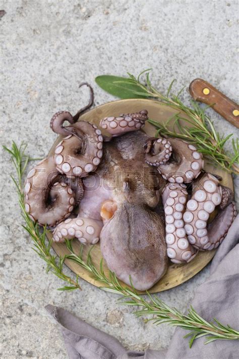 Natural Fresh Octopus With Herbs And Stock Image Colourbox