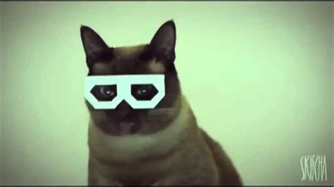 Dubstep Hipster Cat Remix Youtube