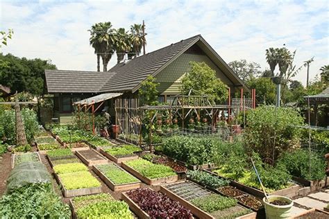 Permaculture Garden Grows 7000 Pounds Of Healthy Organic Food Per Year