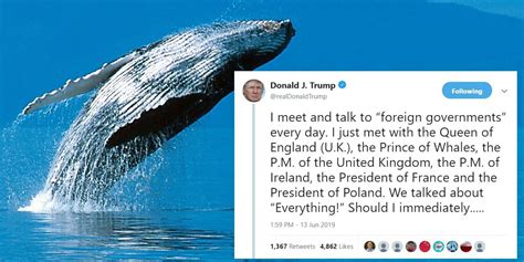 Trump Calls Prince Charles The Prince Of Whales And Inspires Twitter