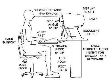 Work Table Height Ergonomic Images