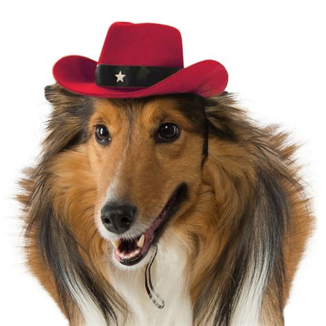 Dog Cowboy Hat Pet Costume Accessory Red Mediumlarge