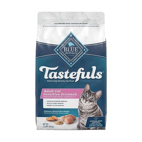 Best Cat Food For Diarrhea In 2022 With Reviews