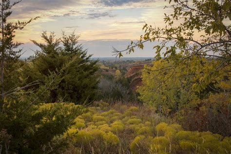 The Red Hills Of Kansas Hidden Gems Of Inspiration For Local Artists