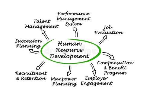 Human Resource Development Stock Illustration Illustration Of Manpower
