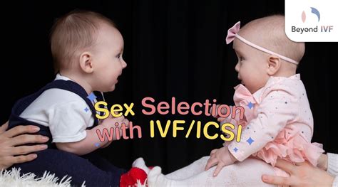 sex selection with ivf icsi beyond ivf