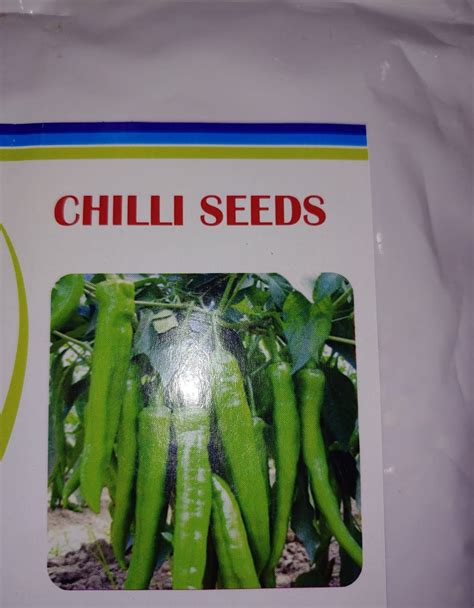 Mirchi Bajji Mirapakaya Bajji Seeds Etsy