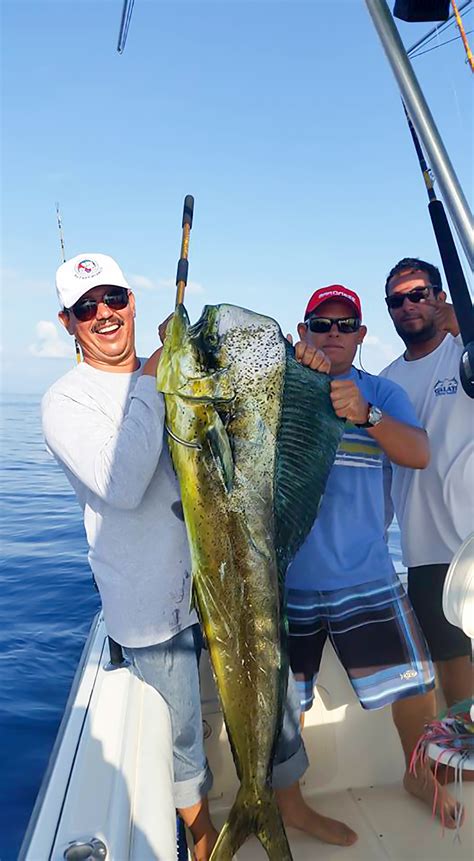 9 Eastcapedorado Baja Fishing Report Discover Baja Travel Club