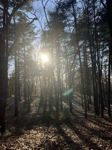 Best Hikes And Trails In Braintree Town Forest Alltrails