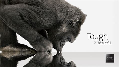 As a brand, gorilla glass is unique to corning, but close equivalents exist. Gorilla Glass 5 Doesn't Hold Up on Galaxy Note 7 - Corning ...