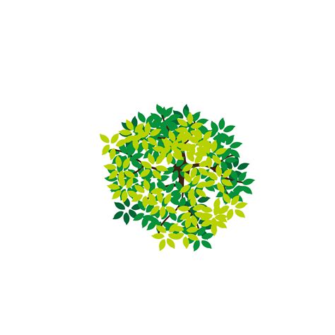 Tree Icon Lush Tree Top Png Download 62506250 Free Transparent