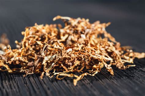 The Brief Guide That Makes Choosing The Best Pipe Tobacco Simple